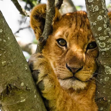 Homestay szállás Soukromy Milada Prága